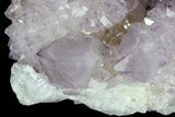 Cactus Quartz (Amethyst) Cluster - South Africa #80011-1
